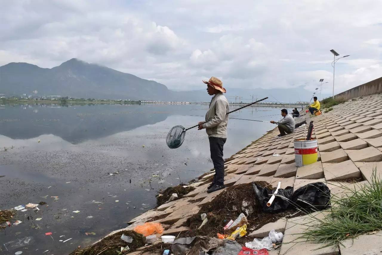 鳊鱼|捕捞式垂钓成公害，迎来专项整治，恐殃及鱼池？