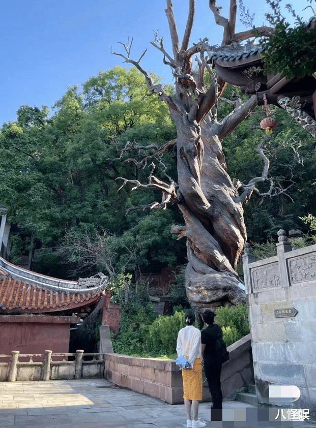 美剧|郑恺夫妇吃饭被偶遇，苗苗开心得摇头晃脑，与老公同看手机超甜