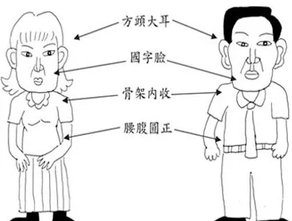 玄风八字运势 五行五面相，何形更相当？