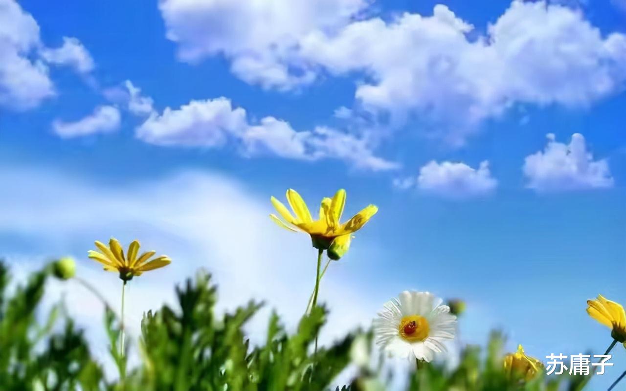 苏庸子|回避型依恋:明明很想要,却又拒绝在一起,却似相隔千山万水