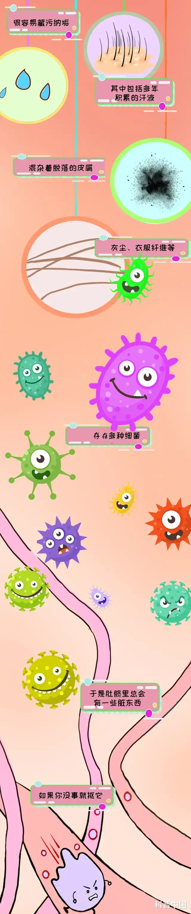 脐带|肚脐眼里的脏东西是啥?到底能不能抠?多年的疑问终于解开了