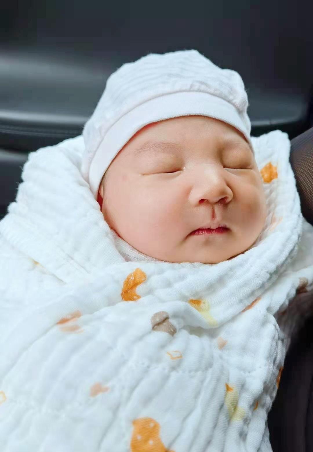 林生斌|塞翁失马！林生斌痛失林臻娅，但是命运却补偿给了他一个“暖暖”