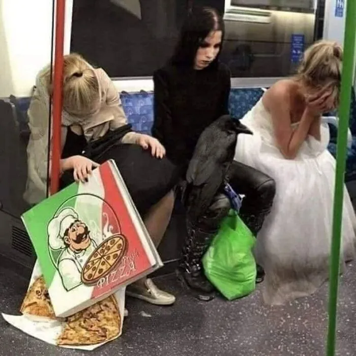 洞洞鞋|夏天穿洞洞鞋的烦恼