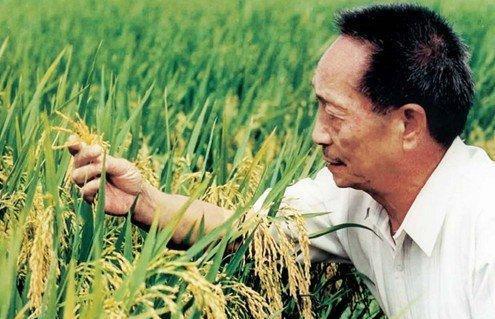 娱乐圈|国栋梁袁隆平去世，娱乐圈五戏子翻车