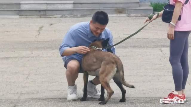 周兰育儿日志|警犬拍卖现场全是有钱人！花33万买德牧土豪：给国家做贡献！