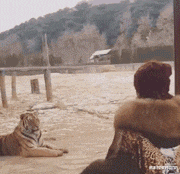 幽默搞笑神回复|神回复：“成年人的时间哪个最像你？”网友：聚餐的时候！