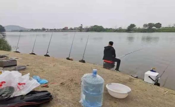 玉米|垂钓鲤鱼别只会用玉米，换用这饵后，20年老司机都竖大拇指