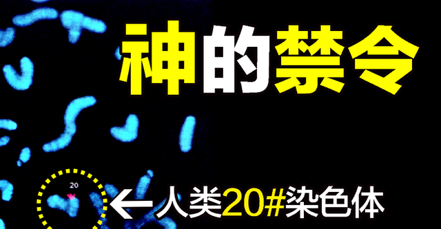 基因 人类20号染色体上，特殊的基因，致死率100%的朊病毒到底是啥？