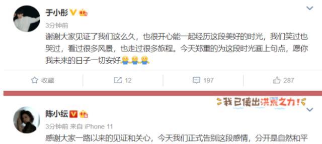 陈小纭|陈小纭才是“茶艺鼻祖”，于小彤被全网黑，容祖儿下跪道歉