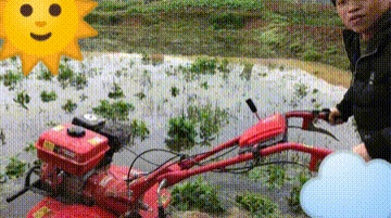 育儿宝屋|我有遗传病但坚持生了五胎：一个白化病、一个唇腭裂、一个精神病