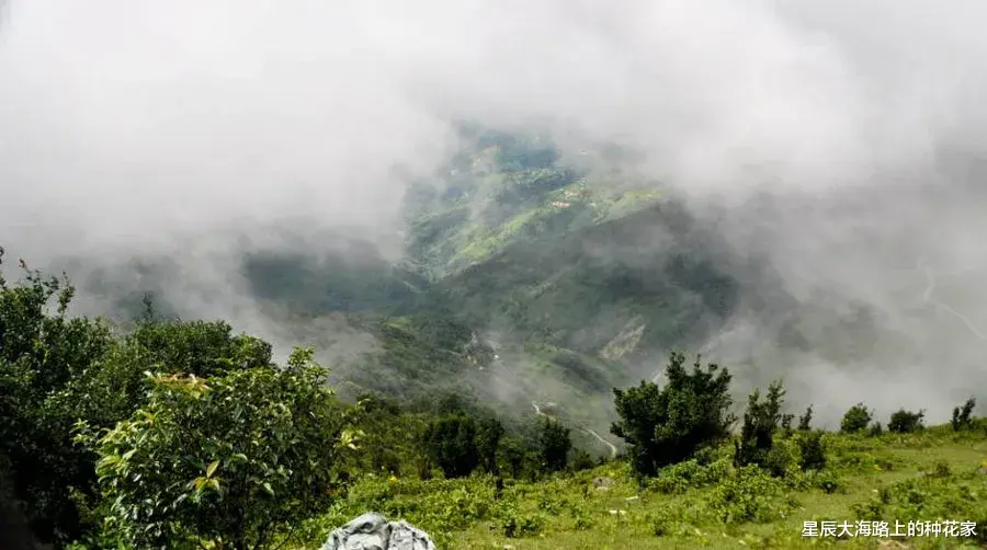 雷击还是失温？砍刀、汽油、羽绒服齐备，地质队员是如何遇难的？