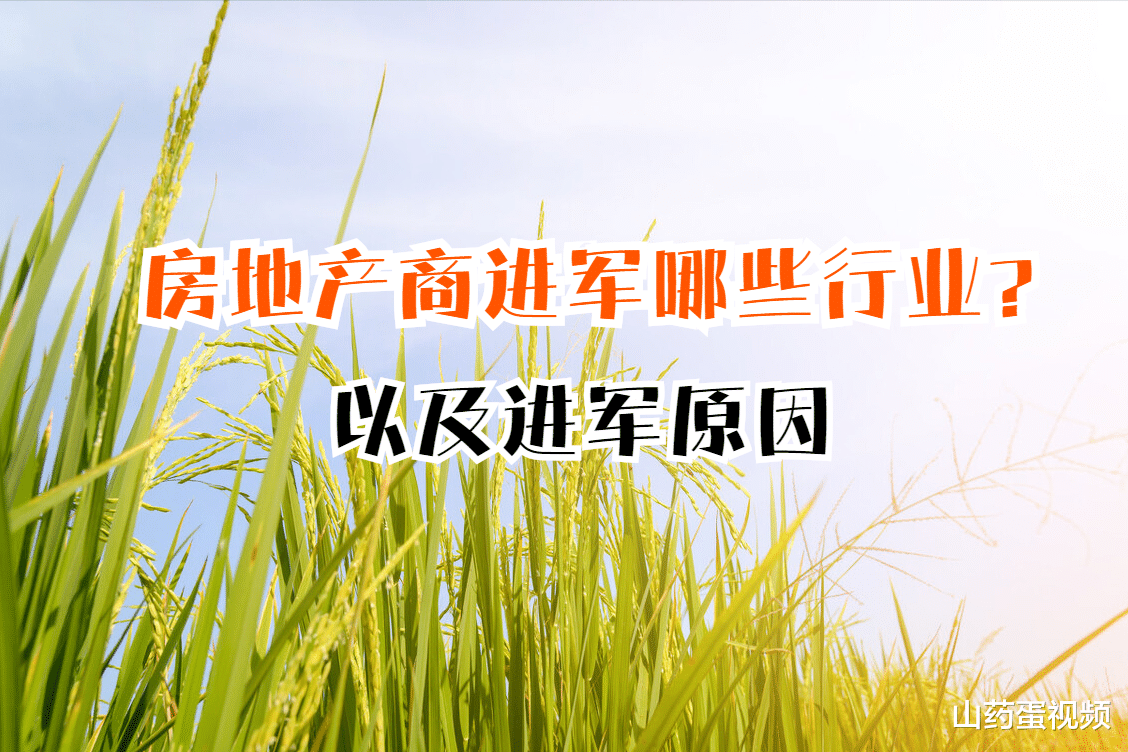 保障性住房|头部房企纷纷转型！分别进军了哪些行业？为何看准了这些行业？