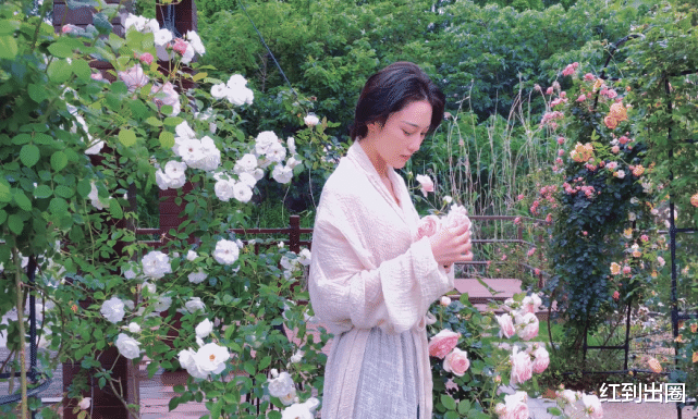 张馨予|张馨予豪宅大院内景曝光，围墙至少十米长，母亲优雅出镜颜值吸睛