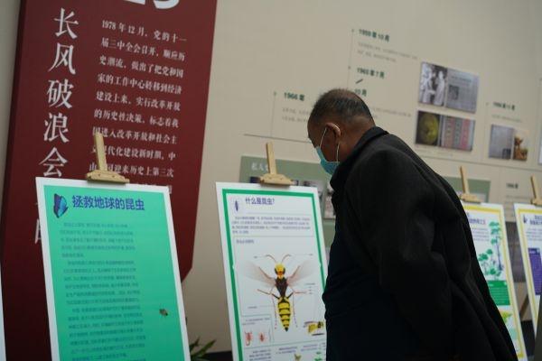 看了这场展览,或许会改变你对虫子的看法