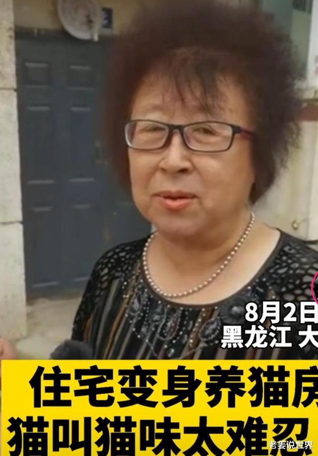 老姜说世界|黑龙江一住宅变身“猫房”,夜半发情猫叫太吓人,邻居难以忍受