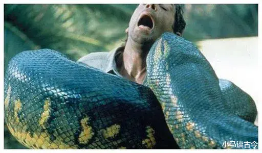  老人为什么说打蛇，要么打死，要么不打呢？