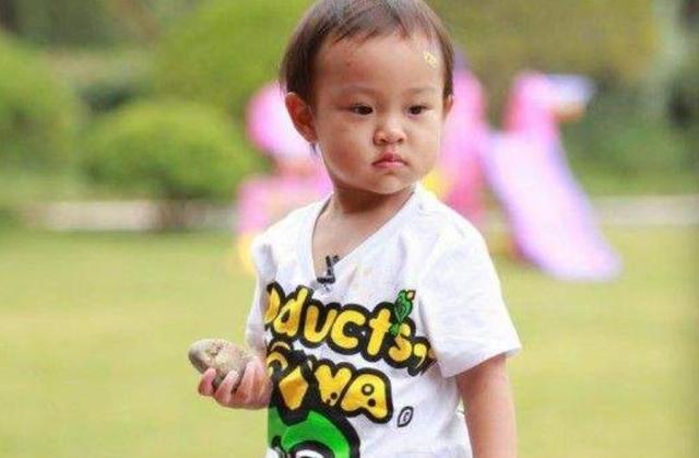 郑爽|有种“遗传”叫生了个自己，戚薇林志颖不算啥，刘诗诗才是真的绝