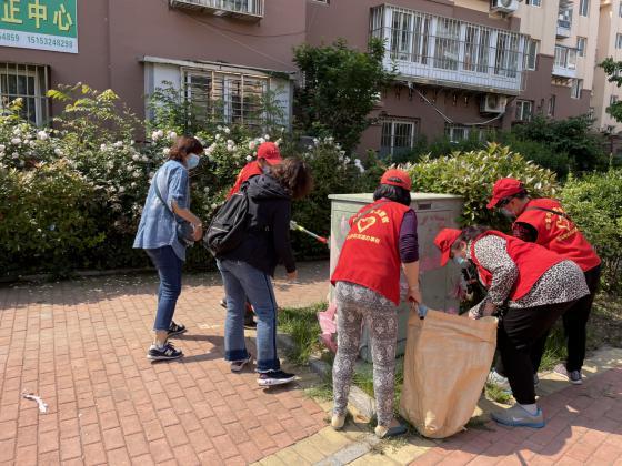 中国山东网 青岛市北区浮山新区街道开启城区“美颜”常态化模式