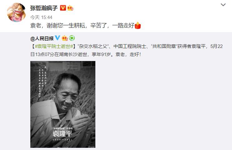 杨幂|袁隆平去世！肖战、王一博、龚俊、张哲瀚、朱一龙等明星发文悼念