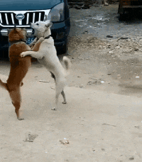 萌控孩|女生绑在脖子上的“黑带子”是啥意思?哈哈哈哈...这到底是什么神操作?