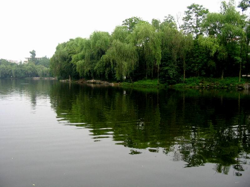 属蛇|天真烂漫，单纯无邪，容易相处的三星座