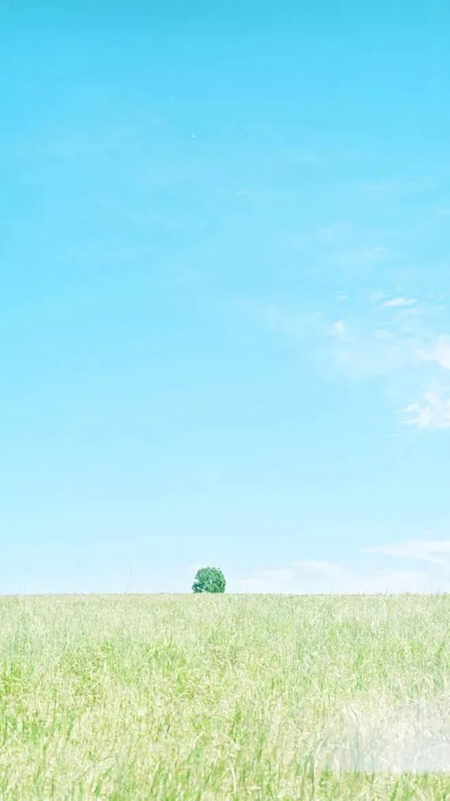 乌前旗文体旅游广电 最适合春游发朋友圈的诗句,每一句都妙不可言