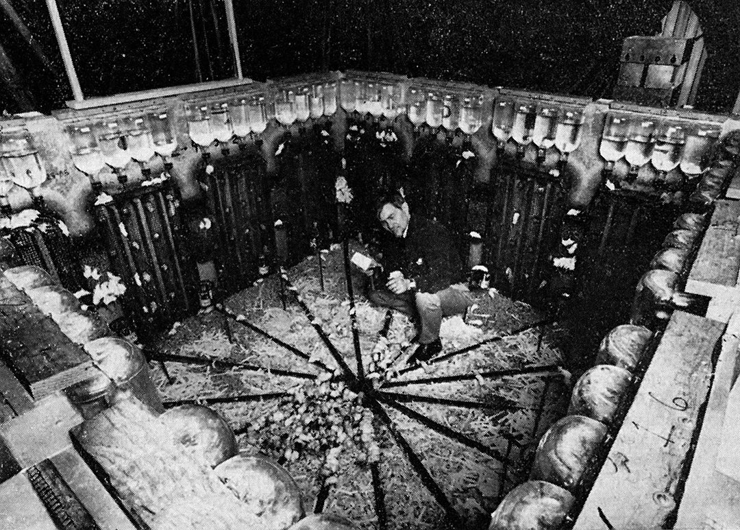 英仙座流星雨 可怕的25号宇宙：老鼠的“乌托邦”实验，600天后变成末日