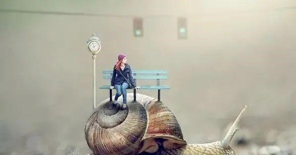 假如人类的体型长得像蚂蚁那么大,整个世界将会变成怎么样子?