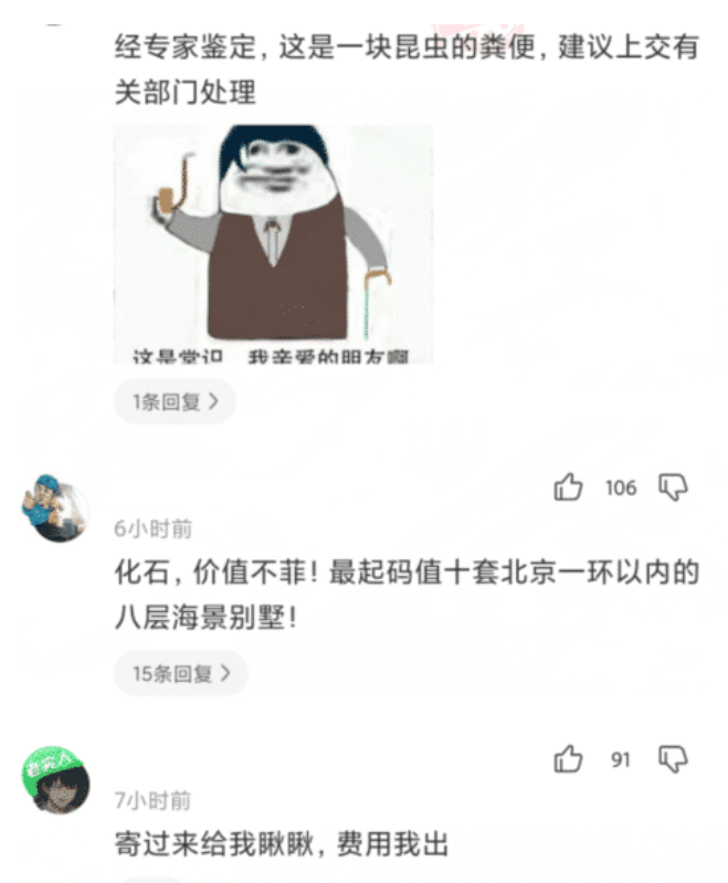 acgn漫评|“河里捡的石头，样子像极了化石...”感觉评论在骗我！