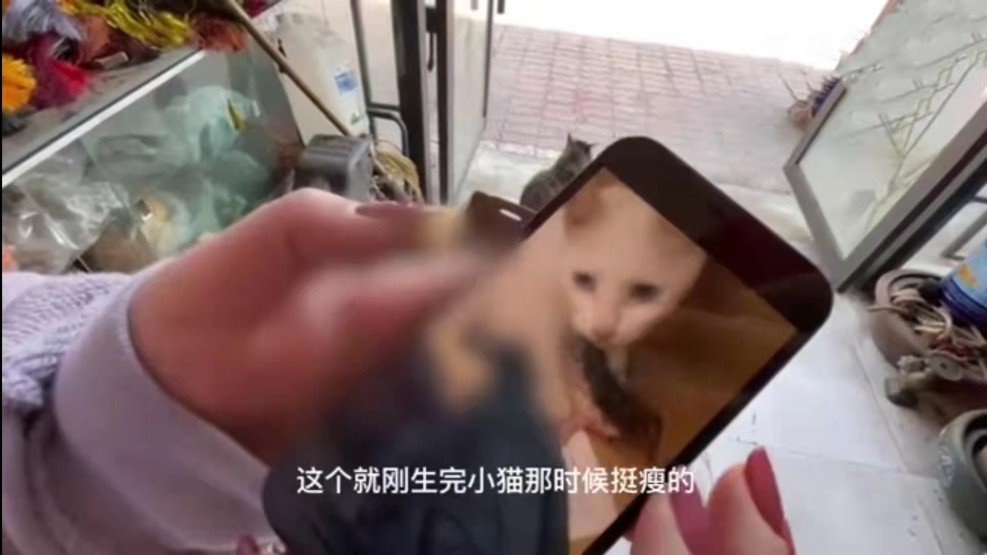 刘涛|2021年评分3.0以下的六部剧，每一部都辣眼睛，全看过的都是人才