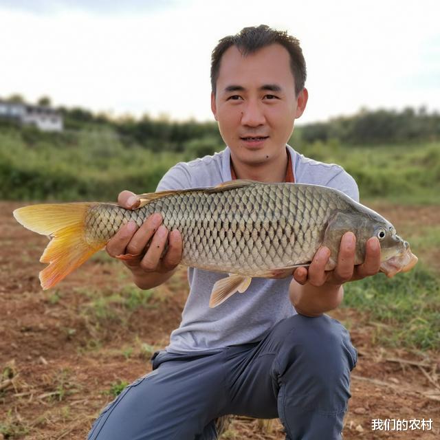 江苏省|钓了这么多年的鱼,才知道夏天钓鱼要这样钓,怪不得高手总上大鱼