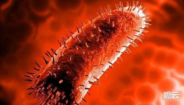 狂犬病|你的大脑是如何被狂犬病毒一口一口吃掉的？