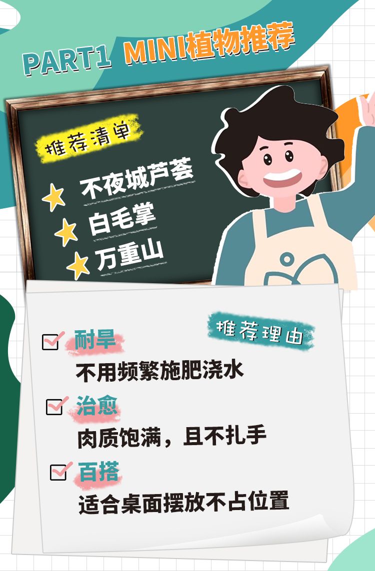 MINI迷你绿植控必备的桌面植物