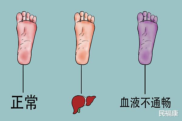 养生|老没老，看看脚就知道！分享几个脚部养生方法，养好双脚寿命长