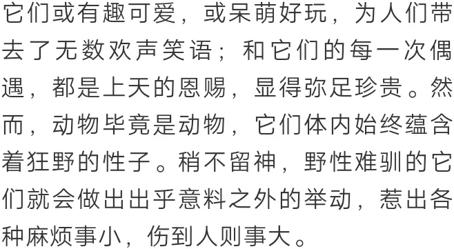 狮子 野外被动物咬？除了等死，你要了解这些求生技能