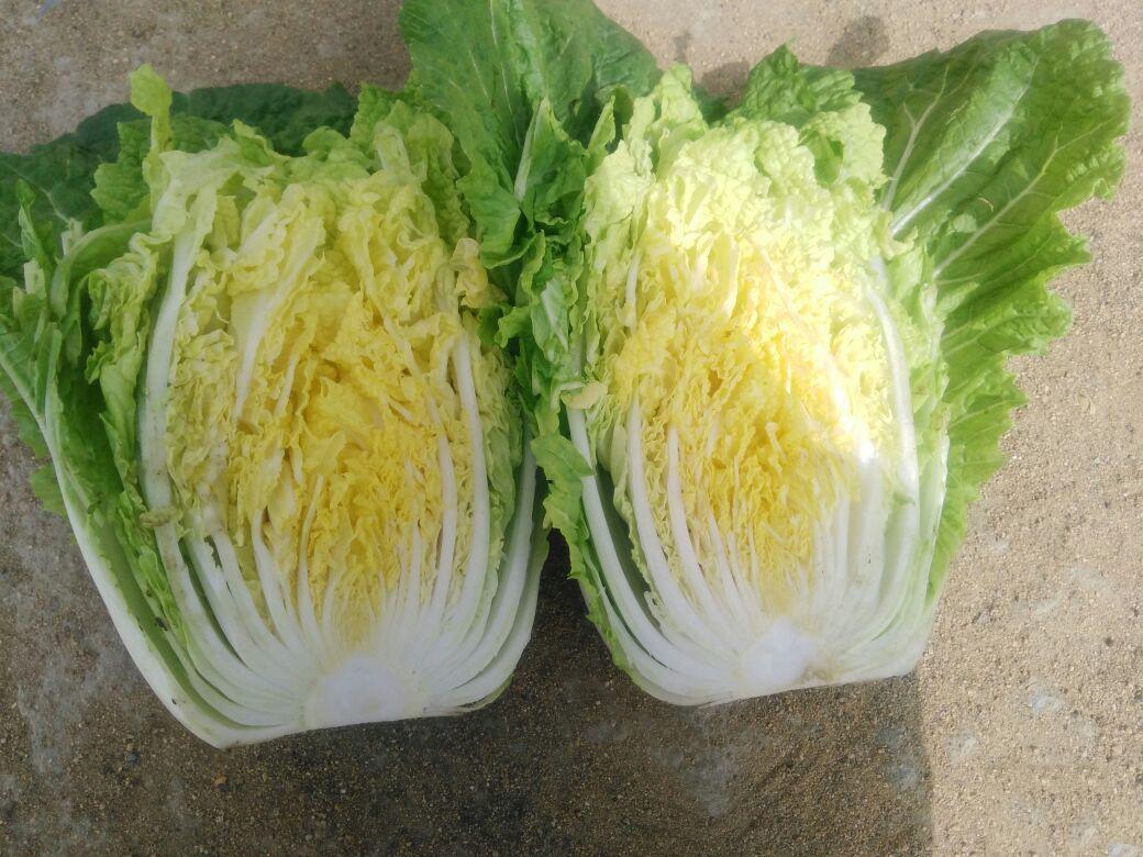 峰哥说表|排便后出现鲜血不痛不痒?常见的花椒加食盐竟是中医的拿手好戏?