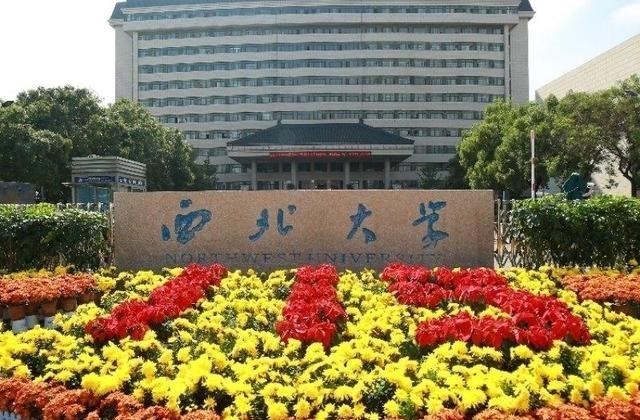 依科育儿吧|华为斥156万年薪聘请的“学霸女孩”，曾经是班级倒数、成绩垫底！
