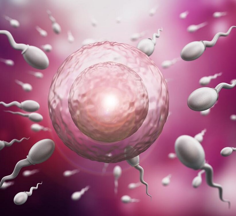 甜丁|去香港做是试管婴儿怎么样？试管前要做哪些检查？