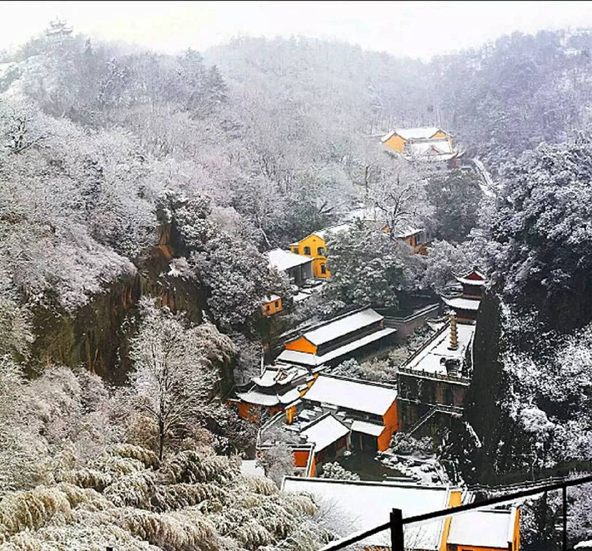 知命命理服务平台|知命独家日运：七月初三吉祥！职场动象明显，感情淡然处之！