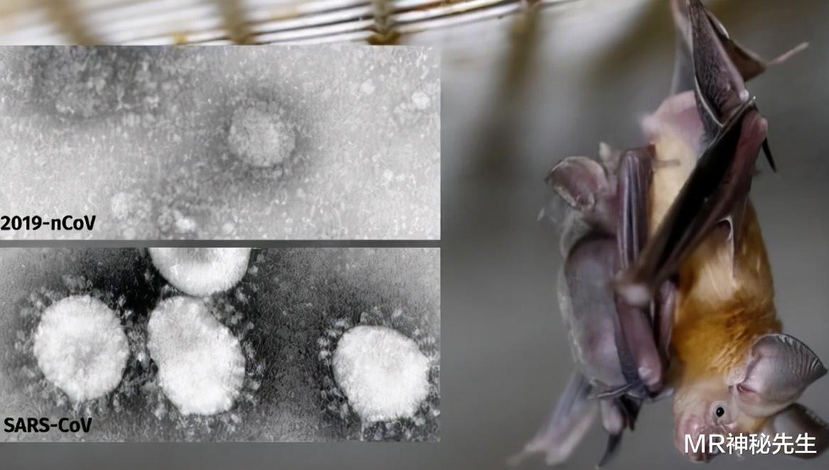 长颈鹿 移民到火星的人类，将变成另一个物种？病毒会修改我们的基因？