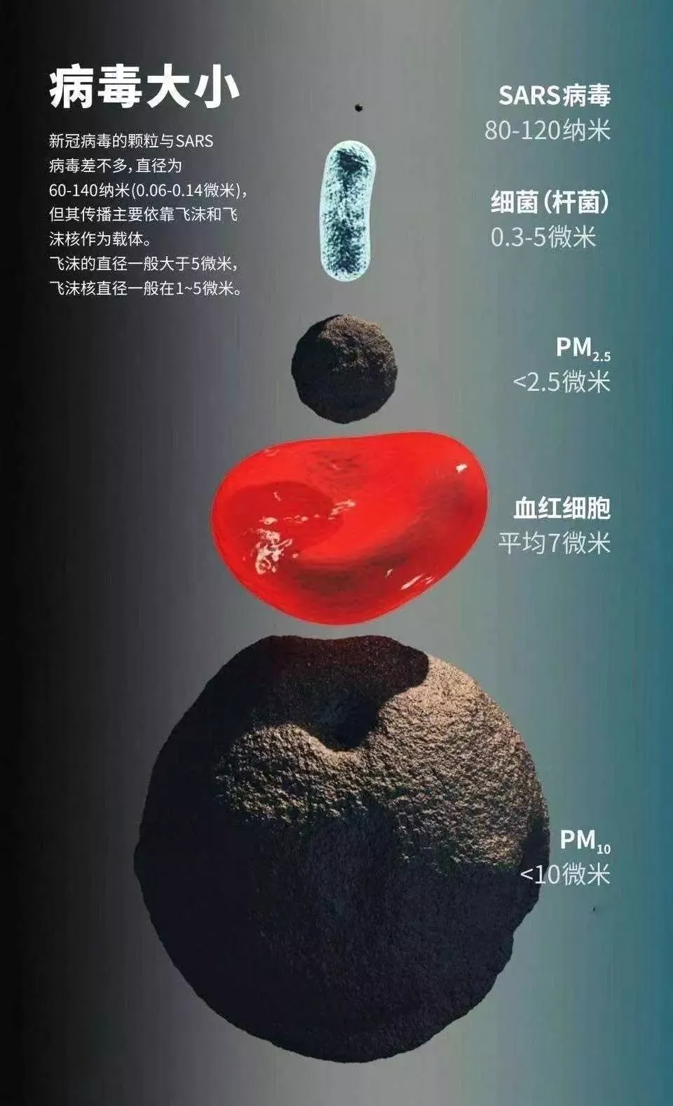 冠状病毒 深度！病毒演化史：把人类搞死，自己也死了，病毒的目的是啥？