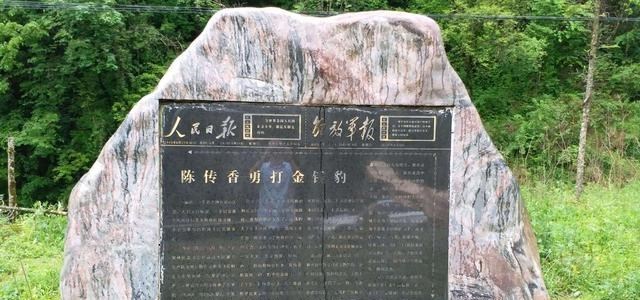 阳光语言矫正说|19岁女子徒手打死豹子，在晚年采访中袒露自己很后悔，这是为何