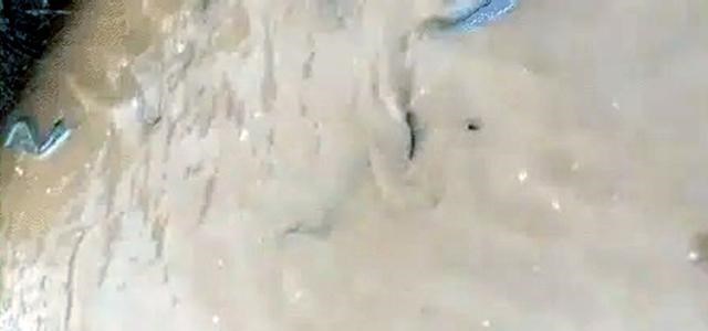 福建省|福建一男子小溪里钓鲫鱼，意外涨水冲来大量河鳗，扔下鱼竿就开捞