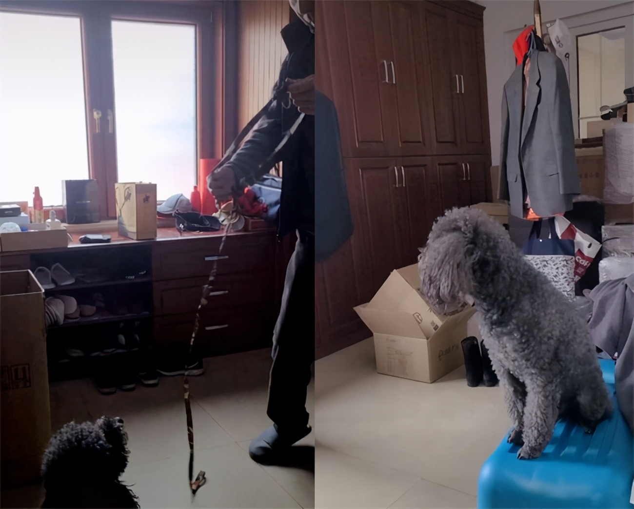 冯巩|63岁冯巩豪宅内景曝光!院子超大种满蔬菜,亲自松土手上沾满泥