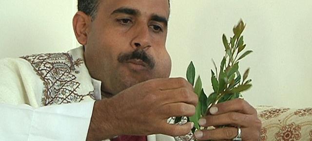 也门|这个被全世界遗忘的国家，正在“嚼死”自己