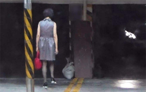 美女教师惨死停车场,死亡照片惨不忍睹,凶手竟是大她10岁的前夫