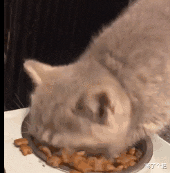 饮食|让你悄悄发胖的饭后5个习惯，你有几个？赶紧自查一下