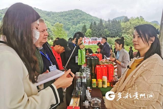 多彩贵州网 湄潭：一片茶叶，带富革命老区群众