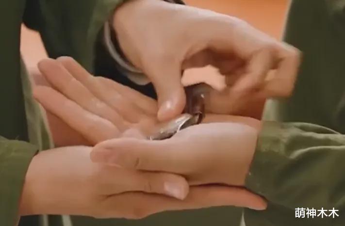 张飞|《王牌部队》肖战官配“阿秀”上线！剧情高虐催泪，埋下诸多伏笔