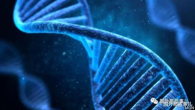  男子和女友交往多年，对方怀孕才知她是自己表妹，当场崩溃